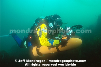 Biologist Surveying Underwater