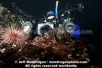 Diver Photographing