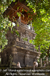 Pura Dalem, The Monkey Temple photos
