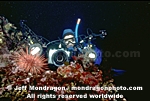 Diver Photographing images