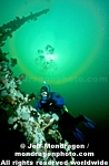 Diver on Shipwreck images